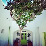 Lemon Tree Relais By Cx Collection Gasthuis 4*