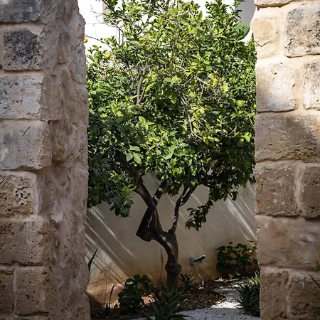 Lemon Tree Relais By Cx Collection 4* Zabbar