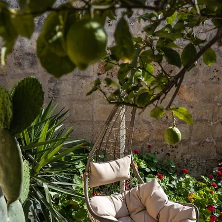 Lemon Tree Relais By Cx Collection