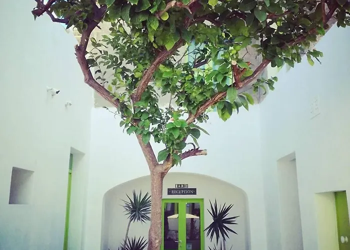 Lemon Tree Relais By Cx Collection 게스트하우스 4*